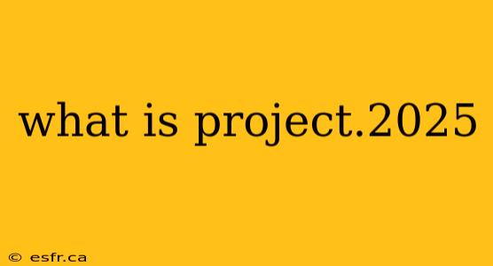 what is project.2025