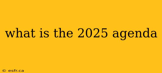 what is the 2025 agenda