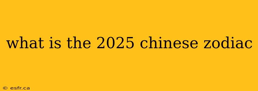 what is the 2025 chinese zodiac