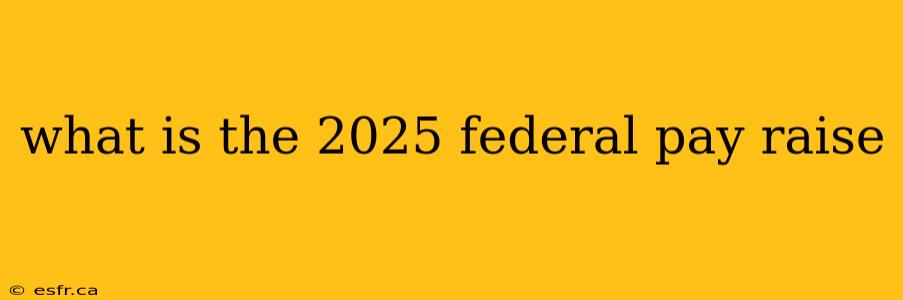 what is the 2025 federal pay raise