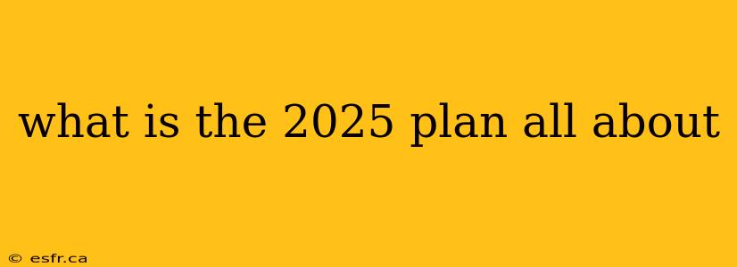 what is the 2025 plan all about