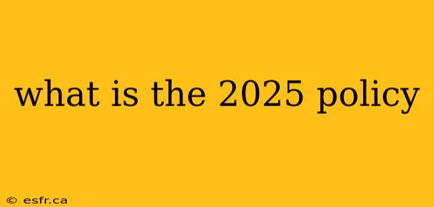 what is the 2025 policy