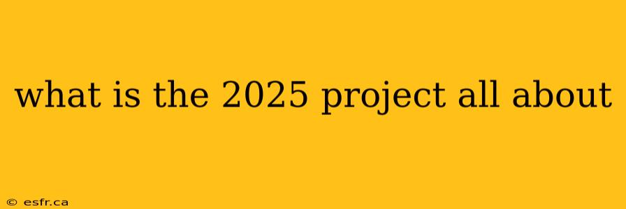 what is the 2025 project all about