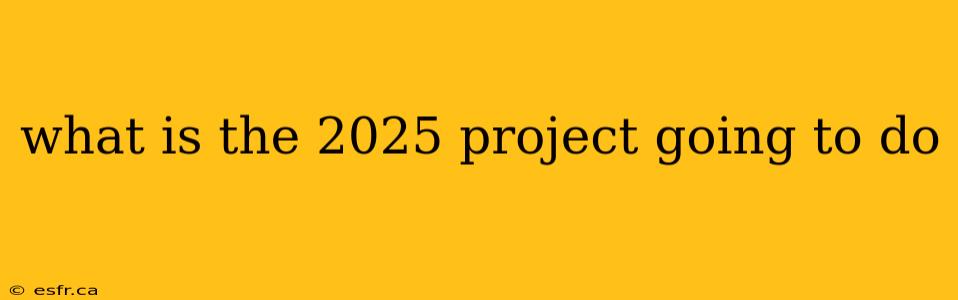 what is the 2025 project going to do