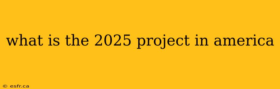 what is the 2025 project in america