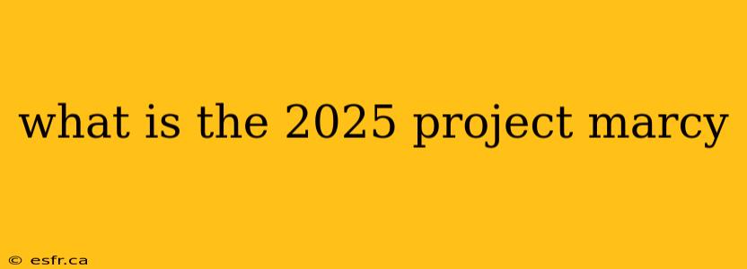 what is the 2025 project marcy