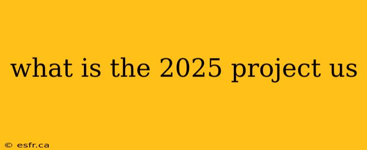 what is the 2025 project us