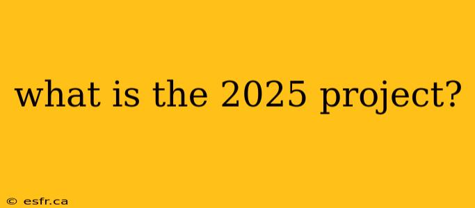 what is the 2025 project?