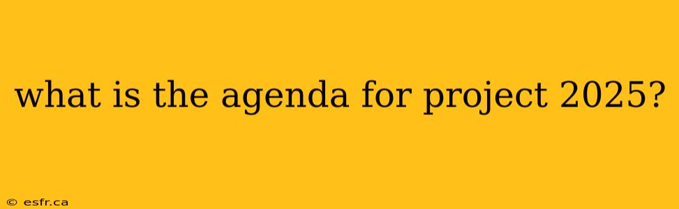 what is the agenda for project 2025?