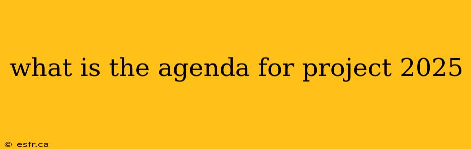 what is the agenda for project 2025