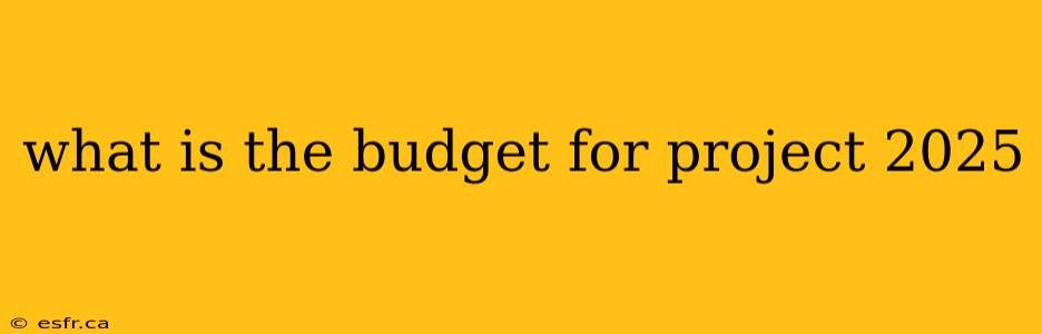 what is the budget for project 2025