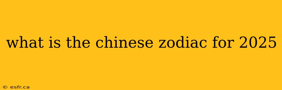 what is the chinese zodiac for 2025