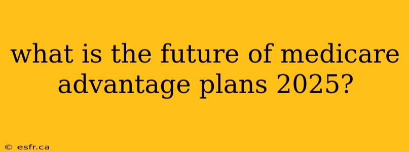 what is the future of medicare advantage plans 2025?