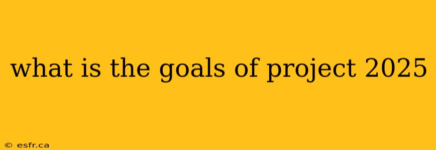 what is the goals of project 2025