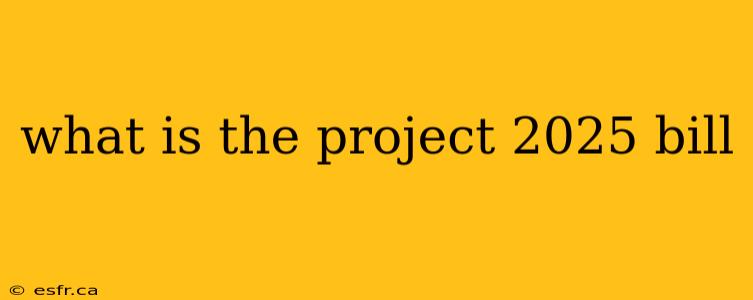 what is the project 2025 bill