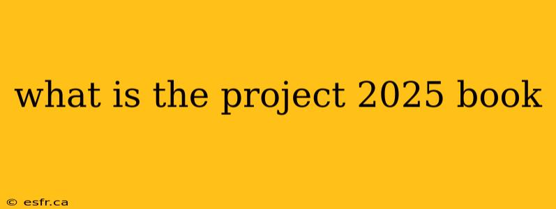 what is the project 2025 book