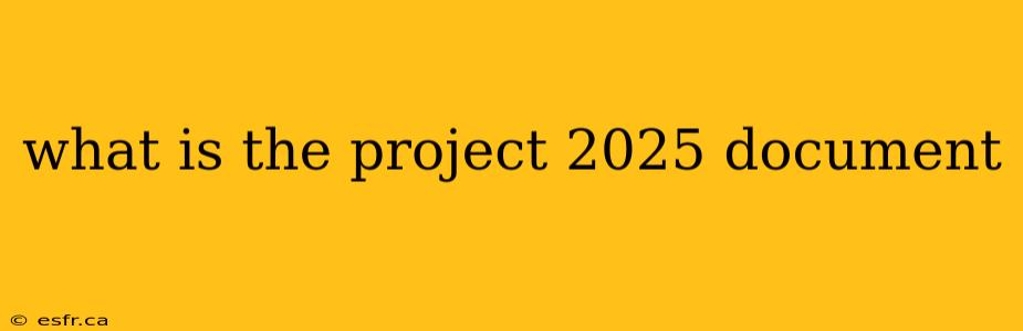 what is the project 2025 document