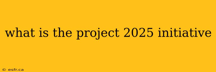 what is the project 2025 initiative