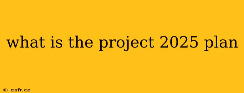 what is the project 2025 plan