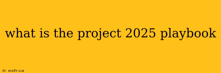 what is the project 2025 playbook