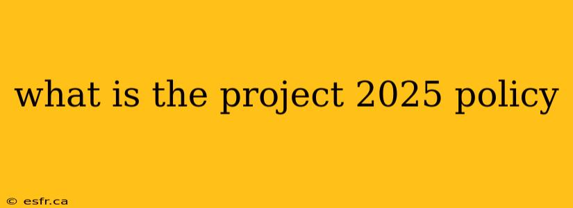 what is the project 2025 policy