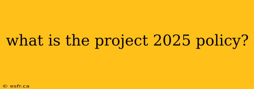 what is the project 2025 policy?