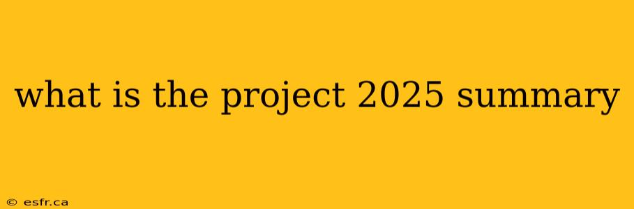 what is the project 2025 summary