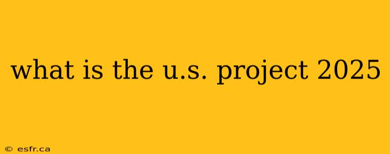 what is the u.s. project 2025