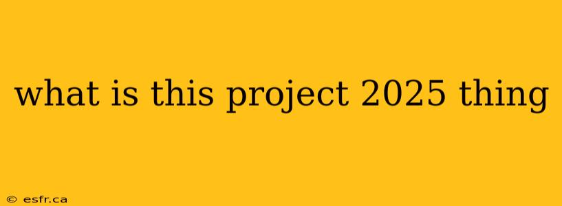 what is this project 2025 thing