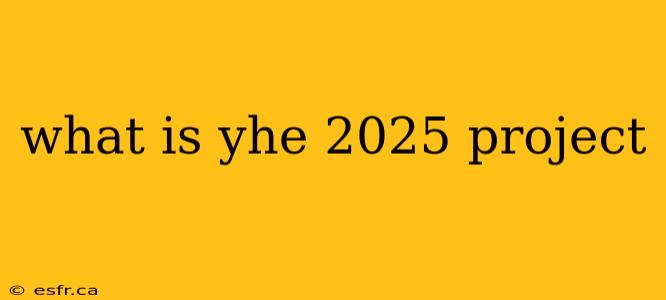 what is yhe 2025 project