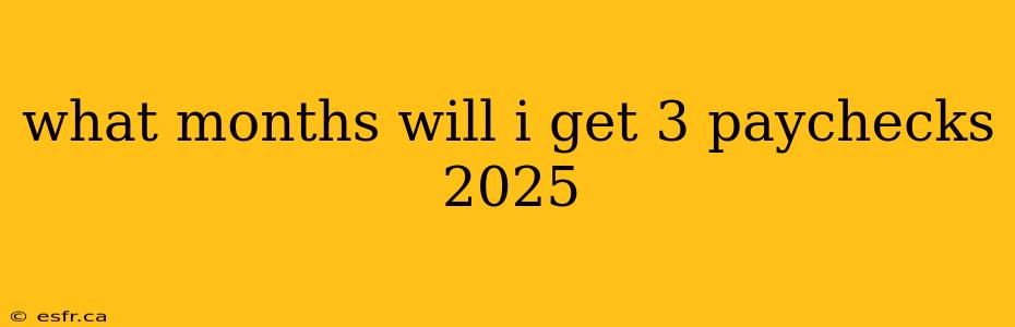 what months will i get 3 paychecks 2025