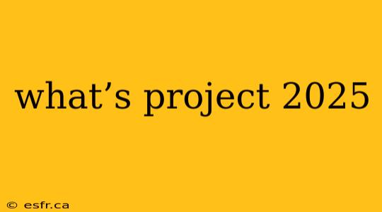 what’s project 2025