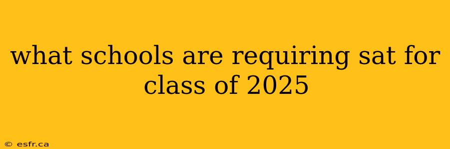 what schools are requiring sat for class of 2025