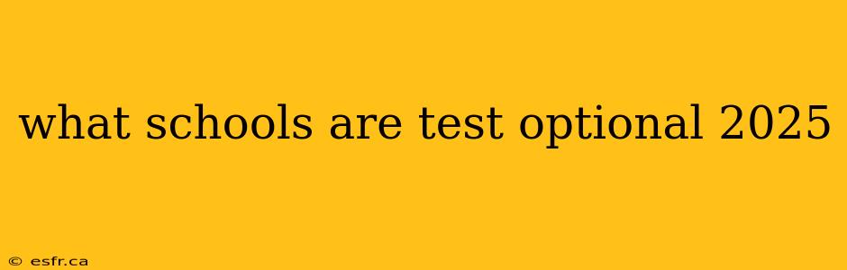 what schools are test optional 2025