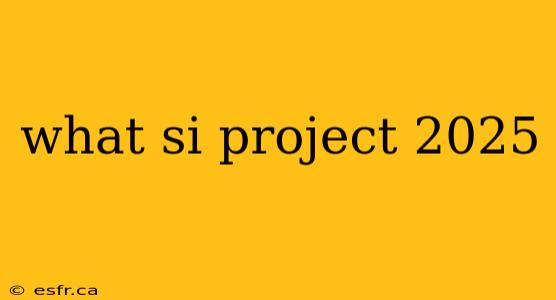 what si project 2025