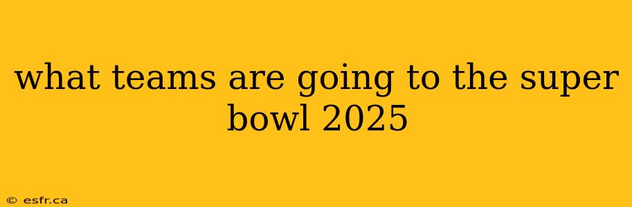 what teams are going to the super bowl 2025