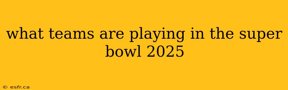 what teams are playing in the super bowl 2025