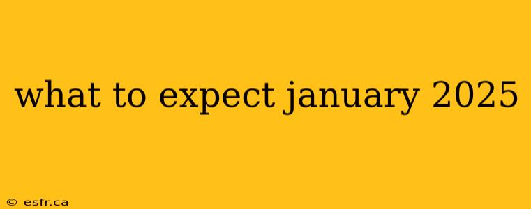 what to expect january 2025