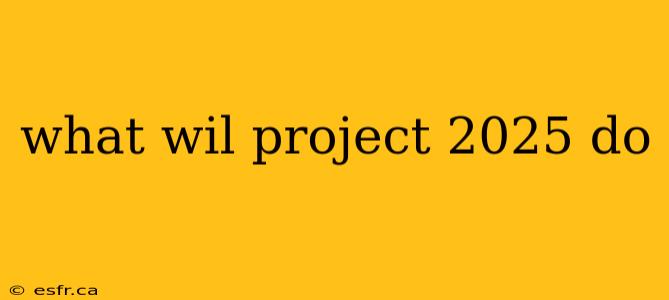 what wil project 2025 do