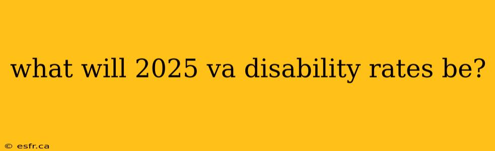 what will 2025 va disability rates be?