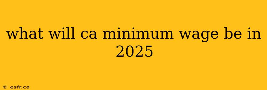 what will ca minimum wage be in 2025