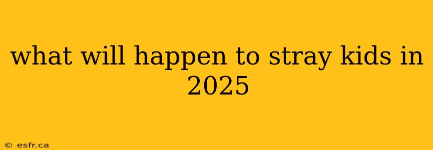 what will happen to stray kids in 2025