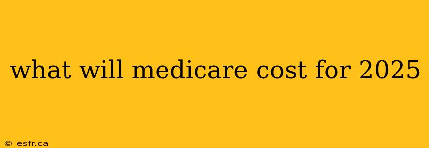 what will medicare cost for 2025