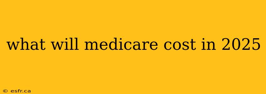 what will medicare cost in 2025