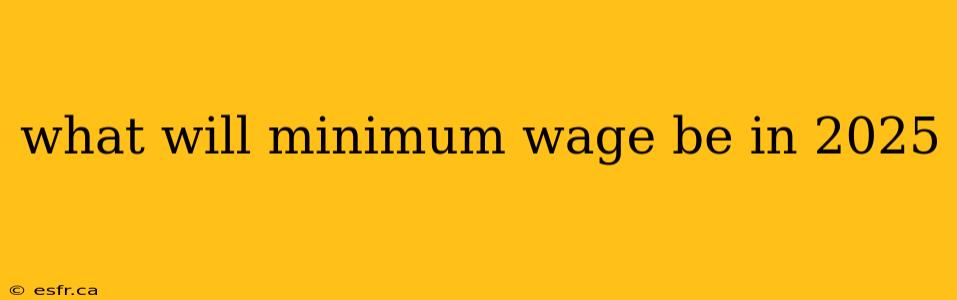 what will minimum wage be in 2025