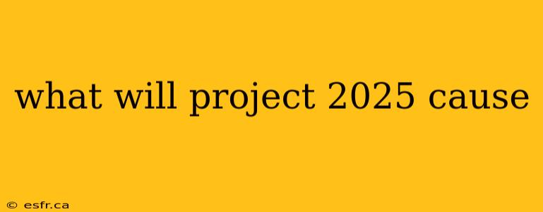 what will project 2025 cause