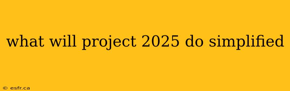 what will project 2025 do simplified