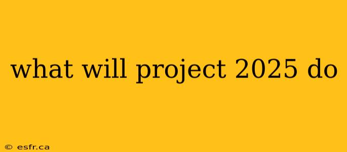 what will project 2025 do