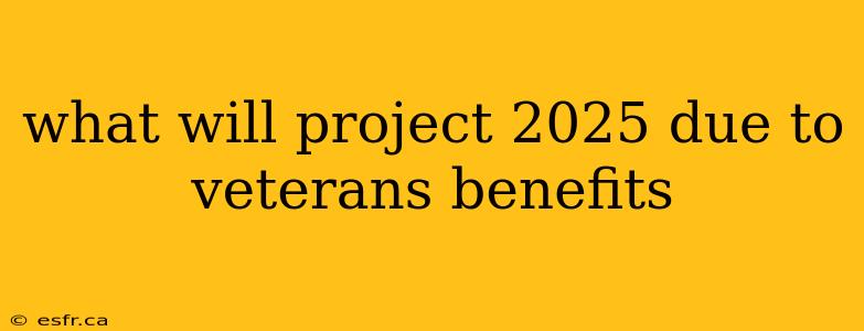 what will project 2025 due to veterans benefits