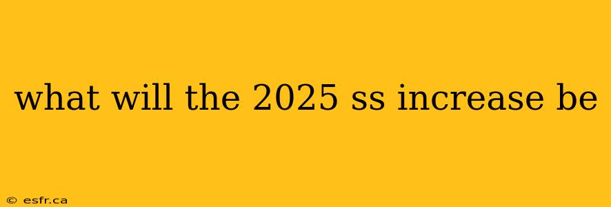 what will the 2025 ss increase be